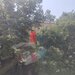 Metrou Dristor, IOR vanzare apartament 2 camere