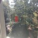Metrou Dristor, IOR vanzare apartament 2 camere
